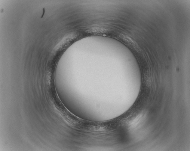 X0000060800735200511241910