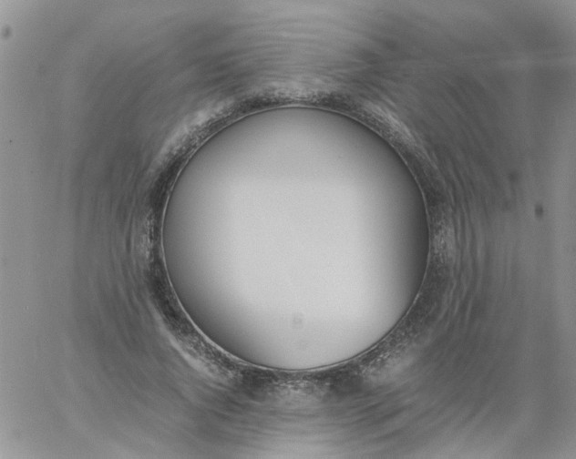 X0000060800736200511241910