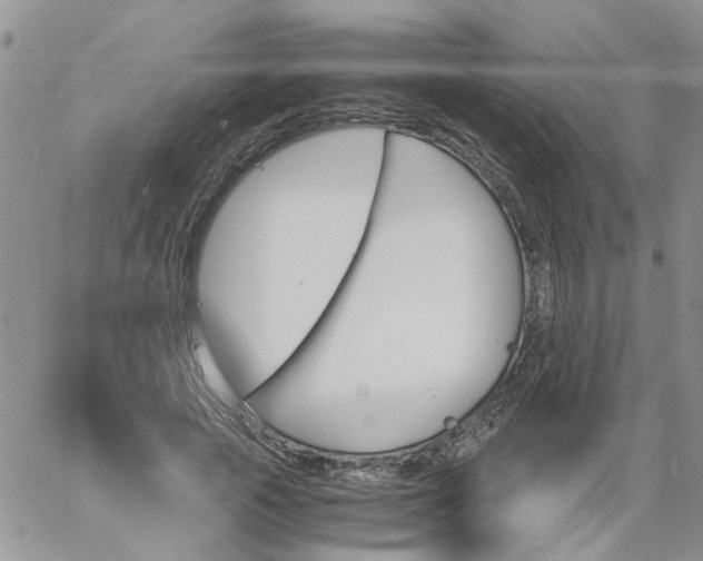 X0000060800737200511241910