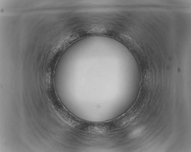 X0000060800739200511241910