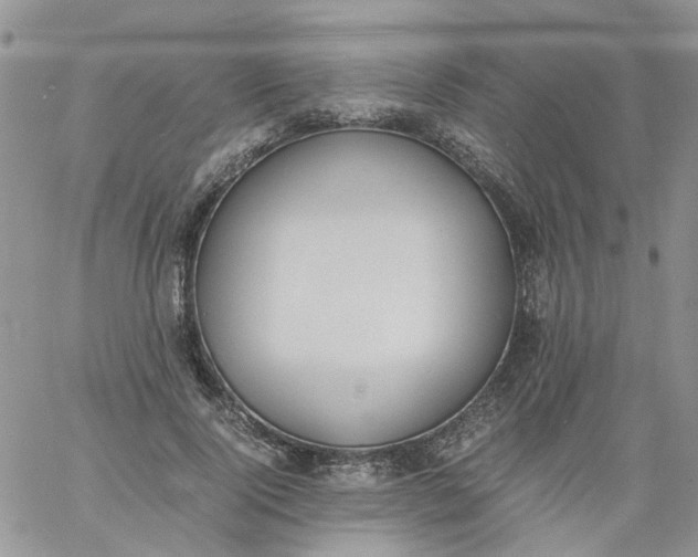 X0000060800740200511241910