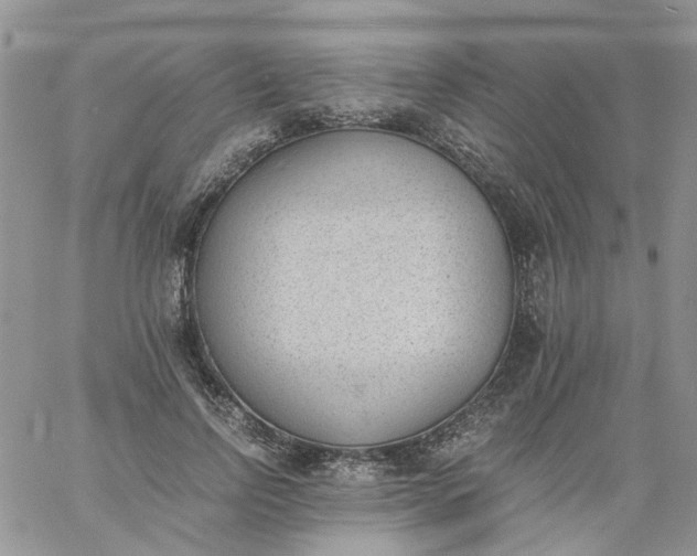 X0000060800742200511241910