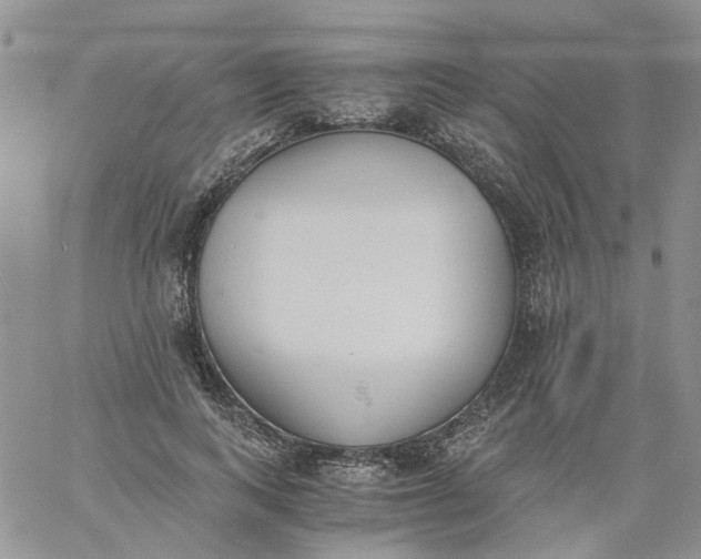 X0000060800743200511241910