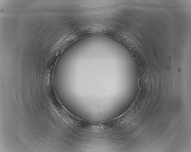 X0000060800744200511241910