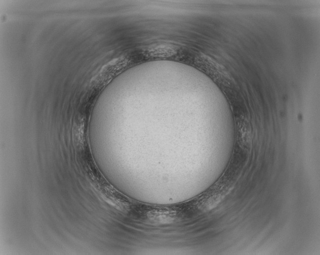 X0000060800745200511241910