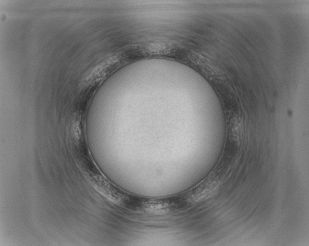 X0000060800746200511241910