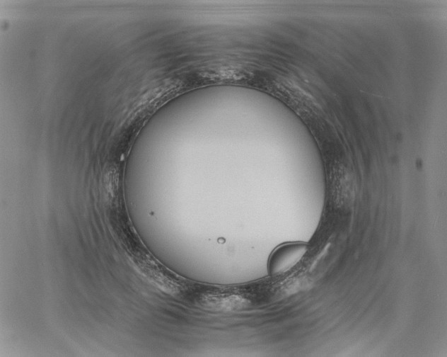 X0000060800747200511241910