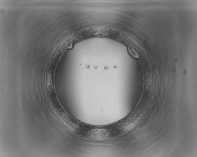 X0000060800748200511241910