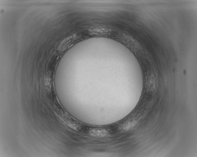 X0000060800749200511241910