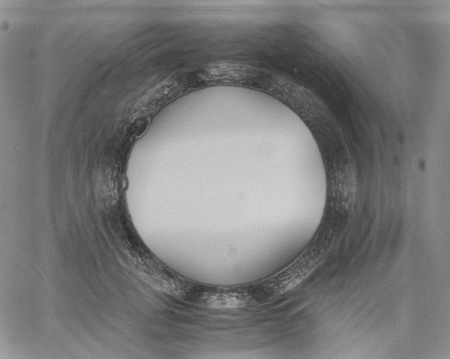 X0000060800751200511241910