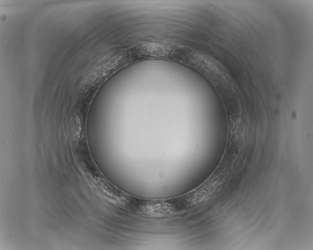 X0000060800752200511241910