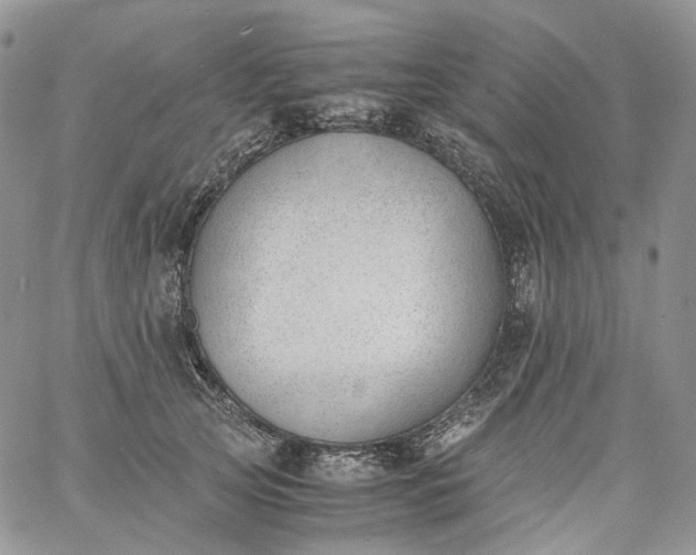 X0000060800753200511241910