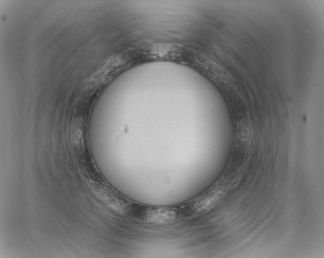 X0000060800754200511241910