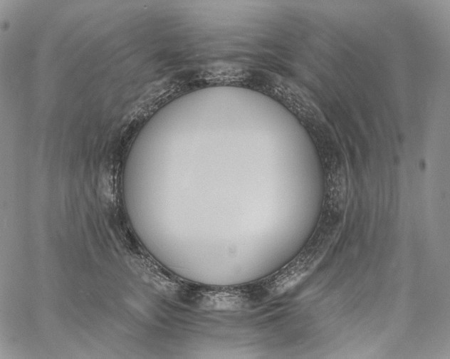 X0000060800755200511241910