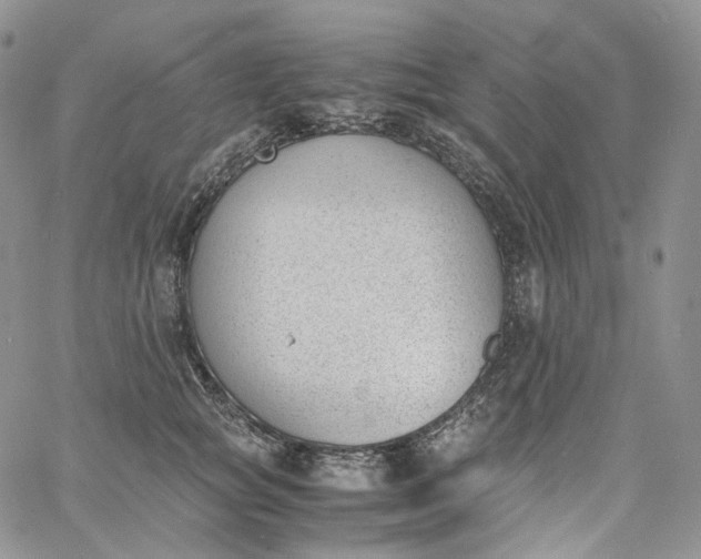 X0000060800757200511241910