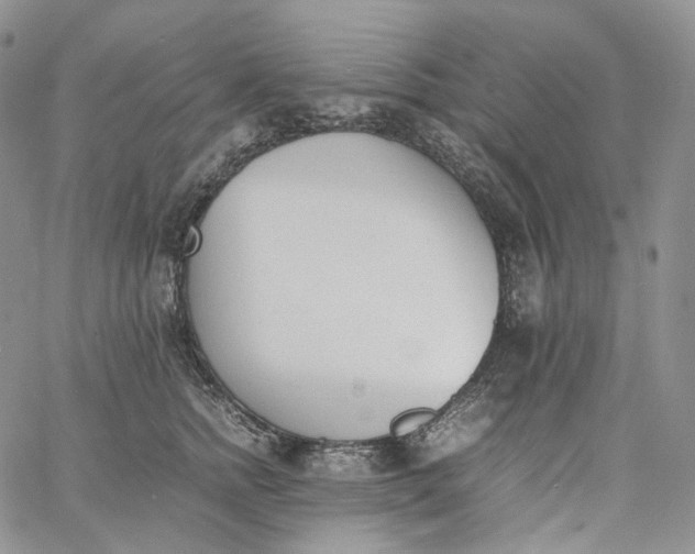 X0000060800758200511241910