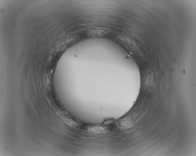 X0000060800759200511241910