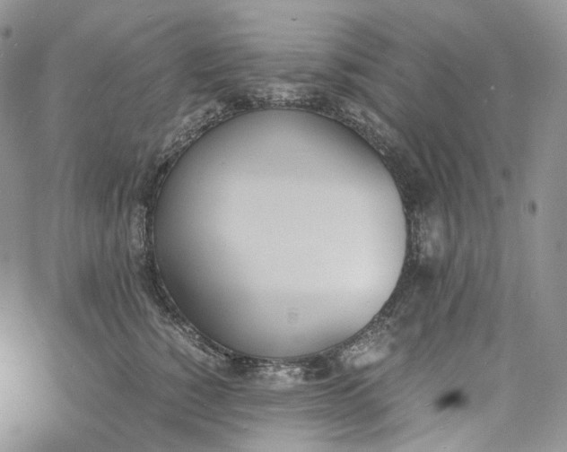 X0000060800760200511241910