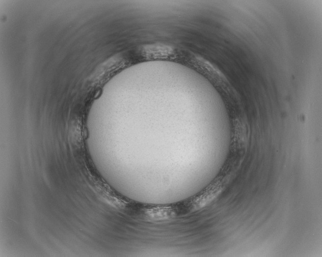 X0000060800761200511241910