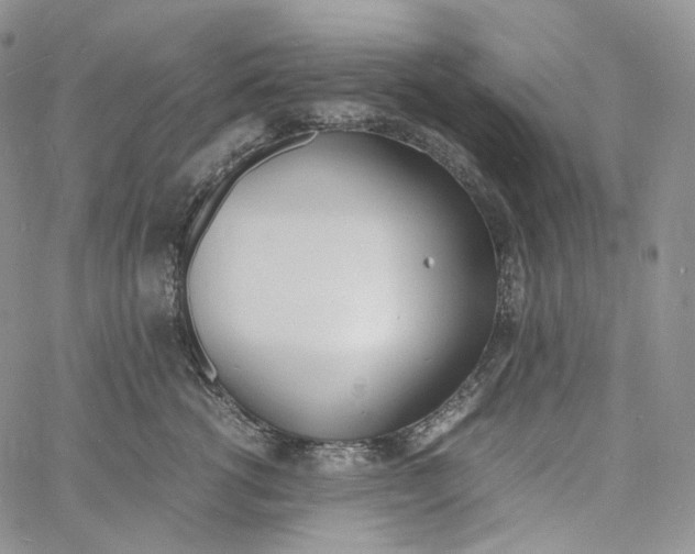 X0000060800762200511241910