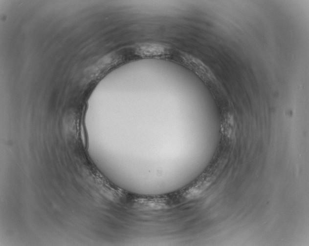 X0000060800763200511241910