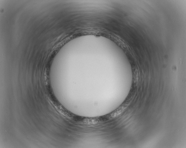 X0000060800764200511241910