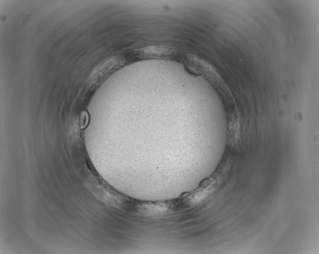 X0000060800765200511241910