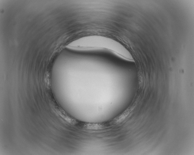 X0000060800766200511241910