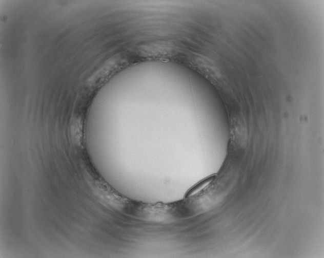 X0000060800767200511241910