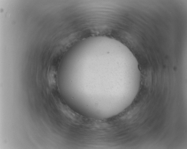 X0000060800770200511241909