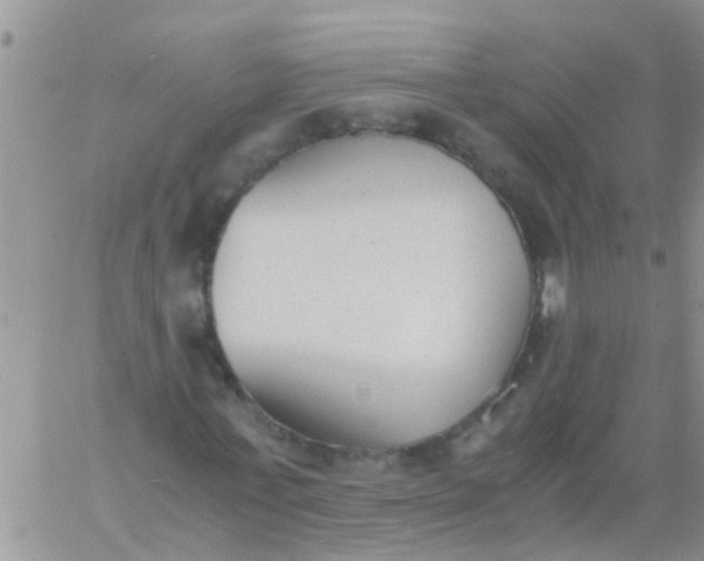 X0000060800771200511241909