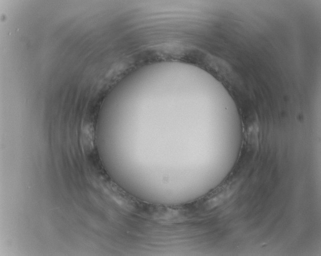 X0000060800772200511241909