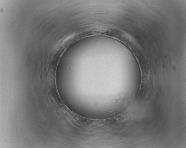 X0000060800773200511241909