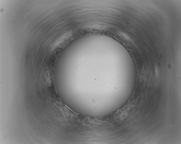 X0000060800774200511241909