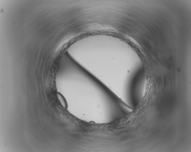 X0000060800775200511241909