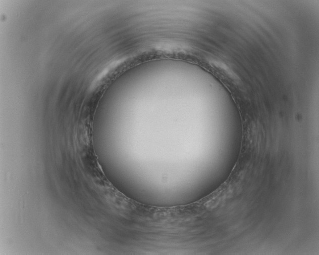 X0000060800776200511241909