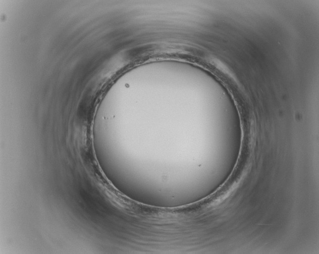 X0000060800777200511241909