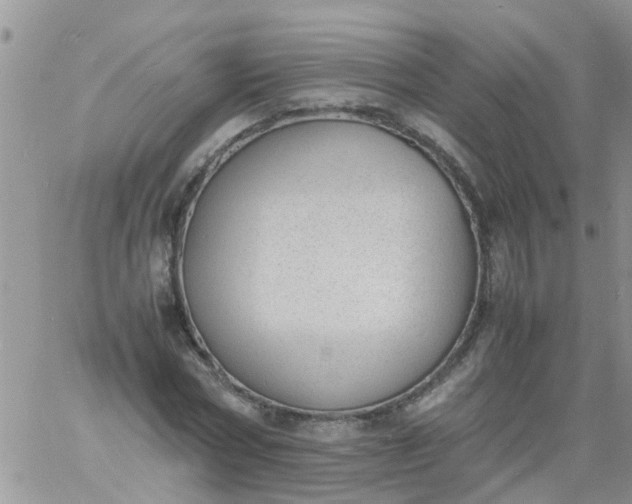 X0000060800778200511241909