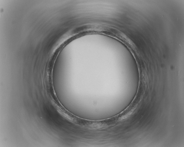 X0000060800779200511241909