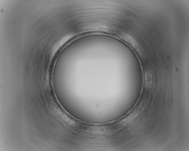 X0000060800780200511241909