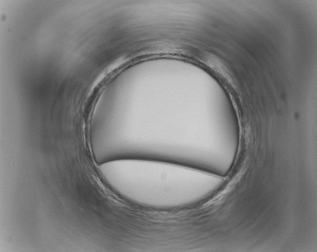 X0000060800781200511241909