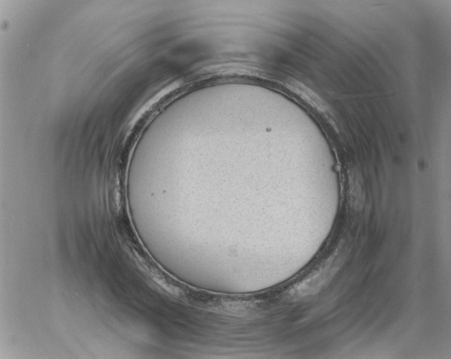 X0000060800782200511241909