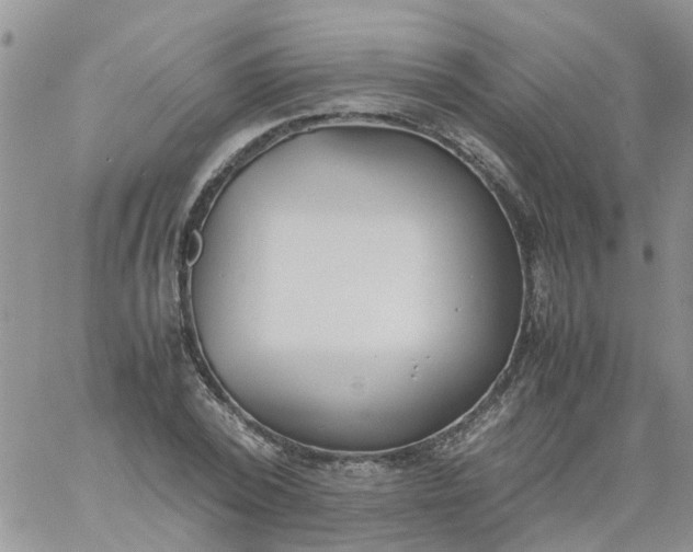 X0000060800784200511241909