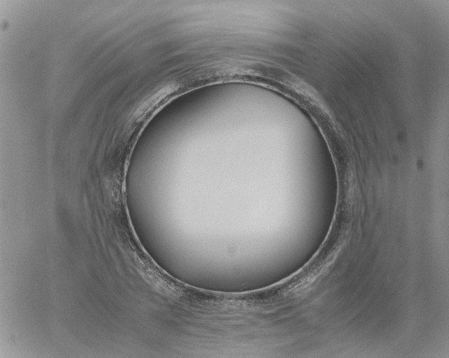 X0000060800785200511241909