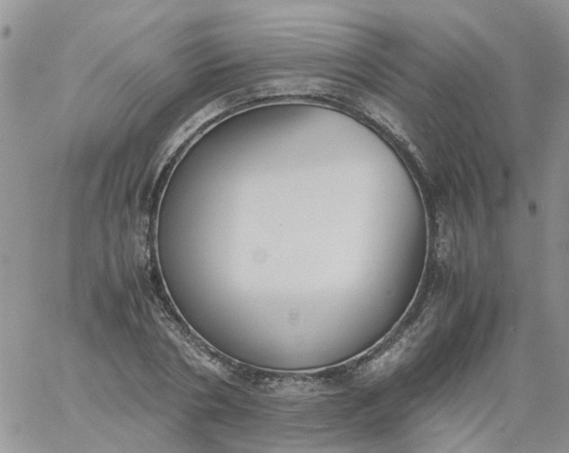 X0000060800786200511241909