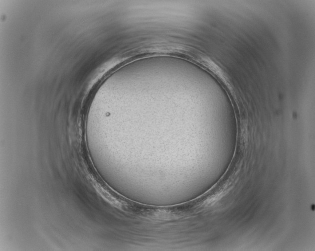 X0000060800787200511241909