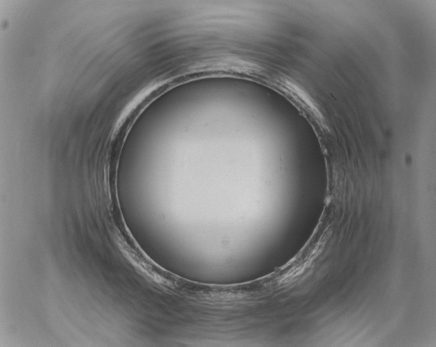 X0000060800788200511241909