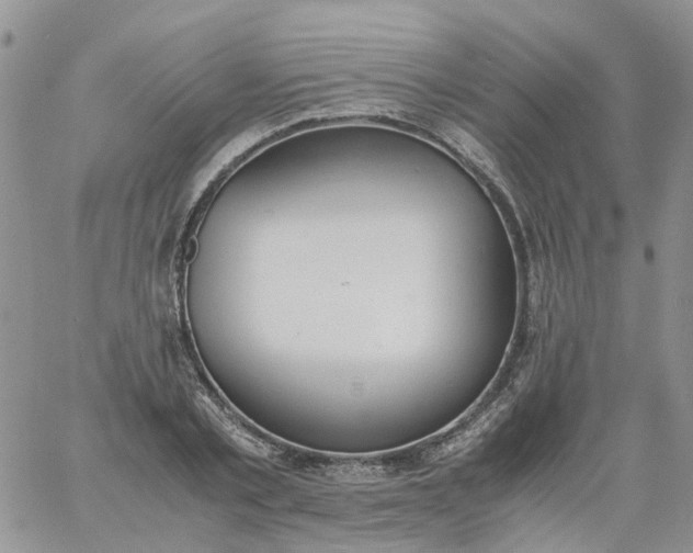 X0000060800789200511241909