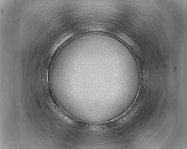 X0000060800790200511241909