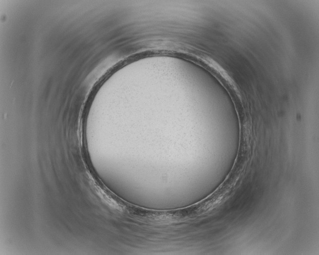 X0000060800791200511241909